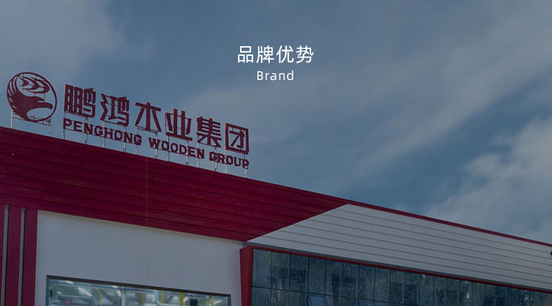 板材品牌、全屋定制品牌、生態(tài)板十大品牌